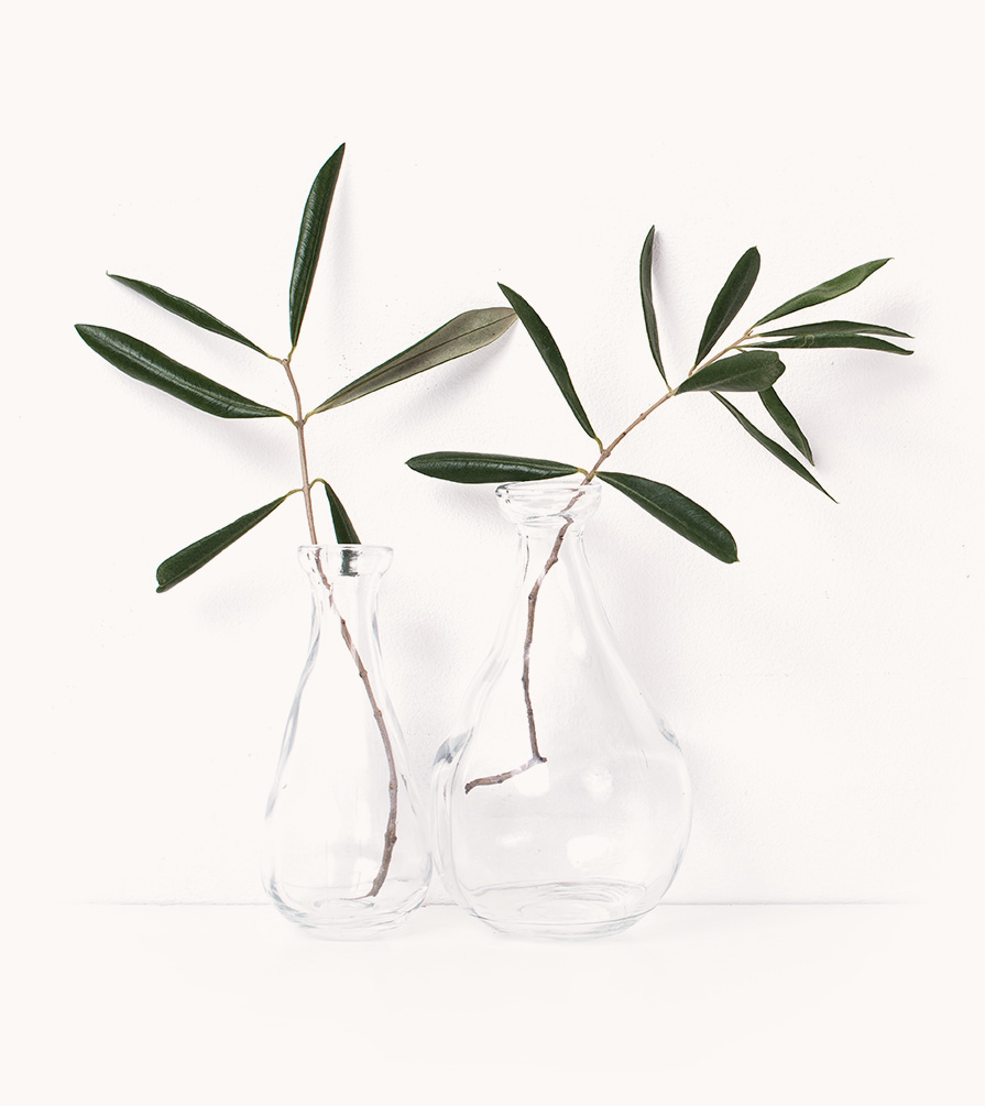 Two olive branches in vases representing connecting and family atmosphere at Inspire Behavioral Health Mental Health Services in PA